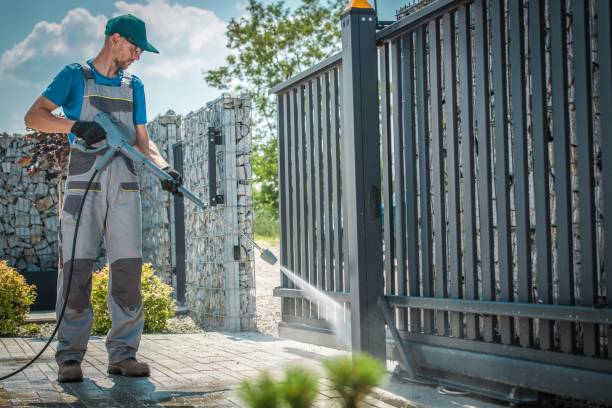 Best Graffiti Removal  in Lake Belvedere Estates, FL