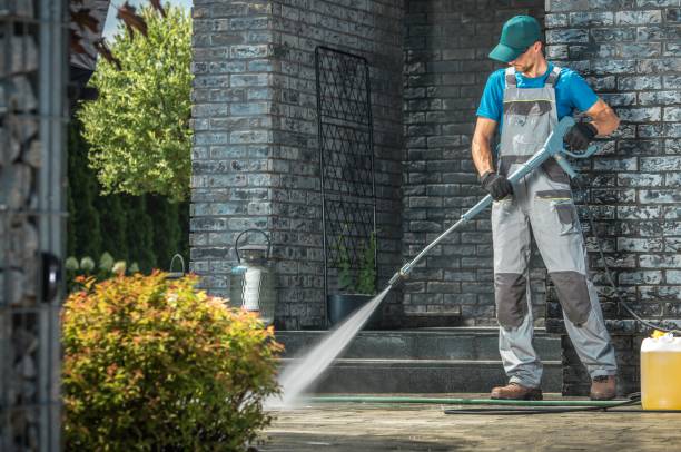 Best Rust Removal  in Lake Belvedere Estates, FL