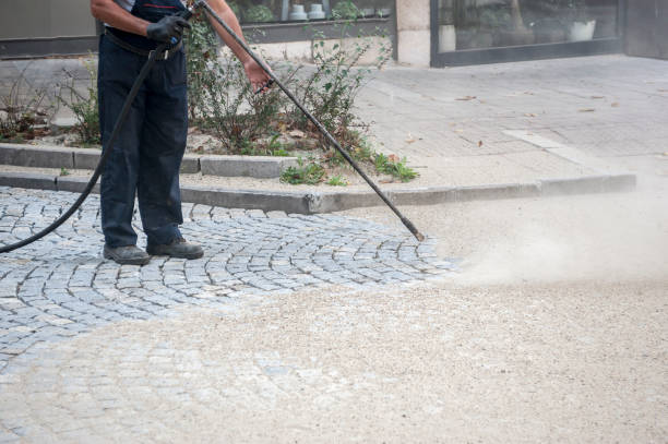 Professional Pressure Washing Services in Lake Belvedere Estates, FL