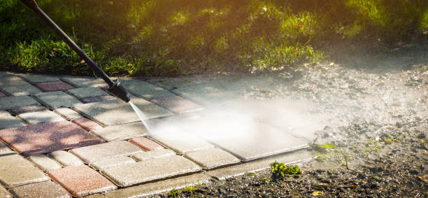 Best Fence Cleaning  in Lake Belvedere Estates, FL