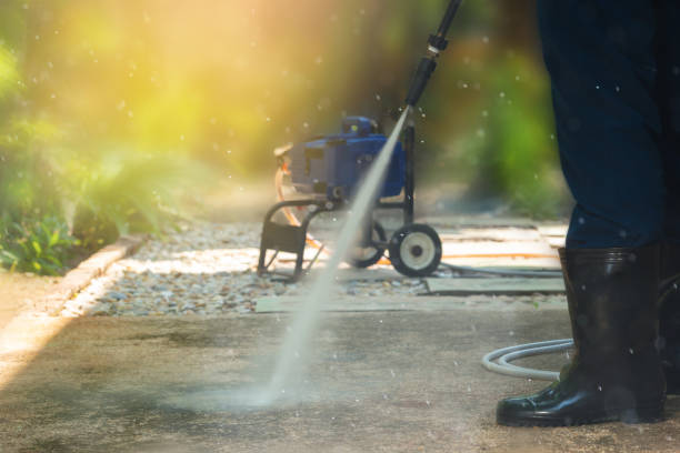 Best Gutter Cleaning  in Lake Belvedere Estates, FL